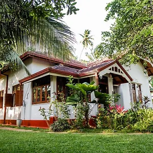  Проживание в семье Colonial